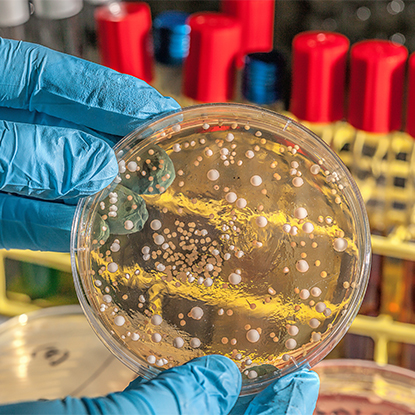 Controle de Saúde e Doenças