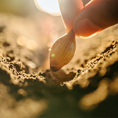 Agricultura e Silvicultura